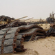 Illustration for article titled Gloomy tank graveyards hold the rusting bones of war